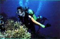 Photo of a Scuba Diver with a Disability