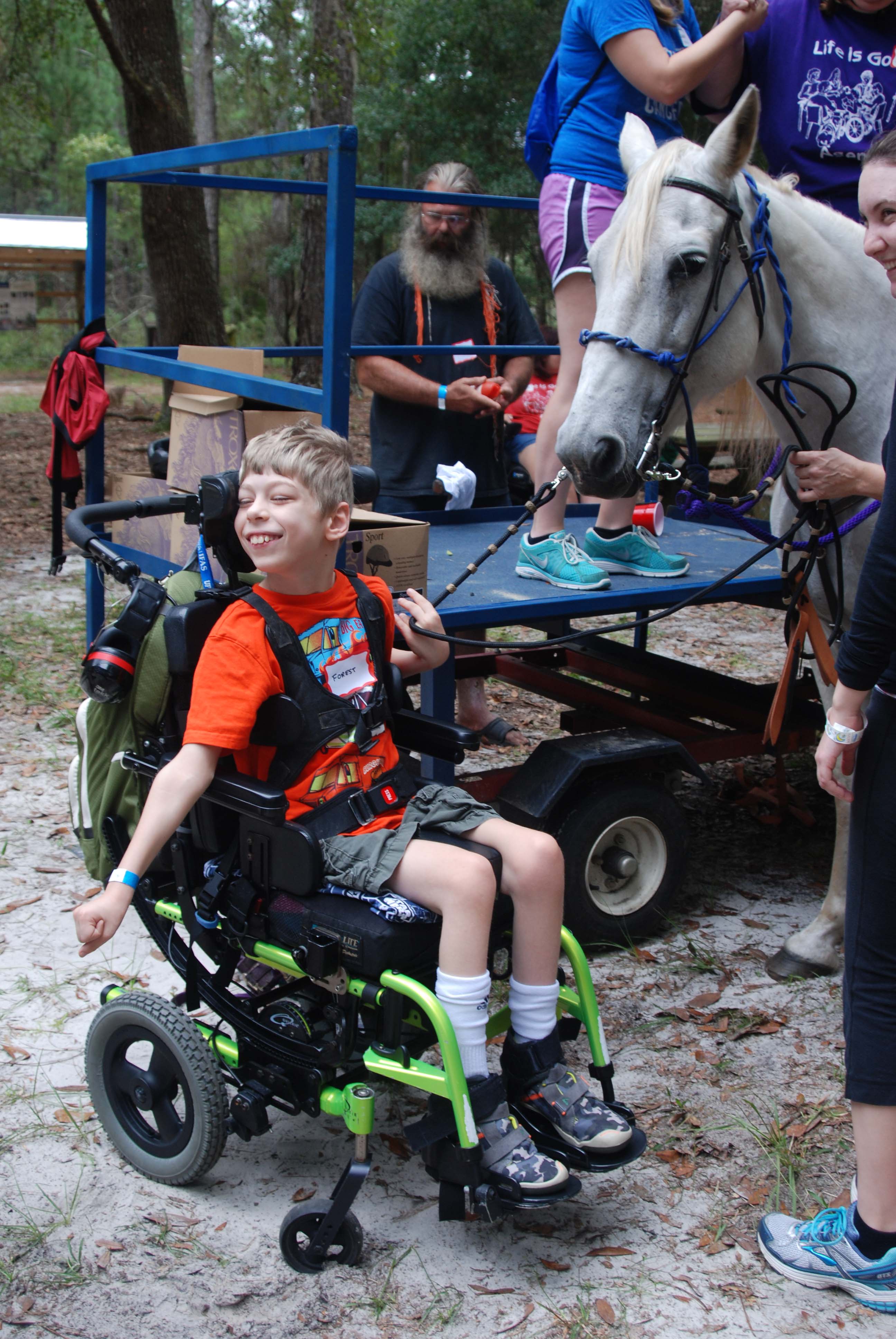 Horses at SportsAbility